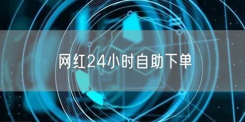网红24小时自助下单
