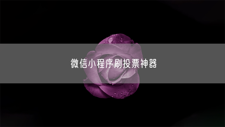 微信小程序刷投票神器