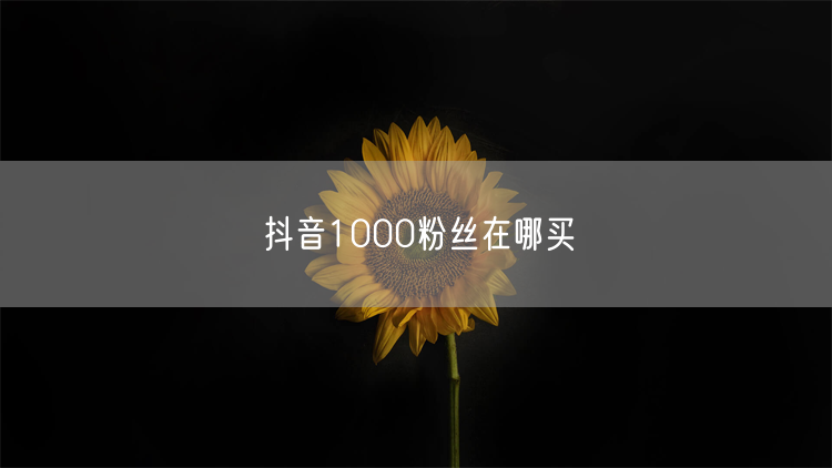 抖音1000粉丝在哪买