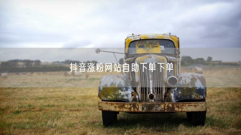 抖音涨粉网站自助下单下单