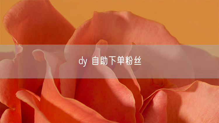 dy 自助下单粉丝
