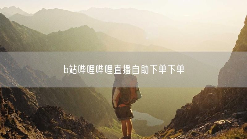 b站哔哩哔哩直播自助下单下单