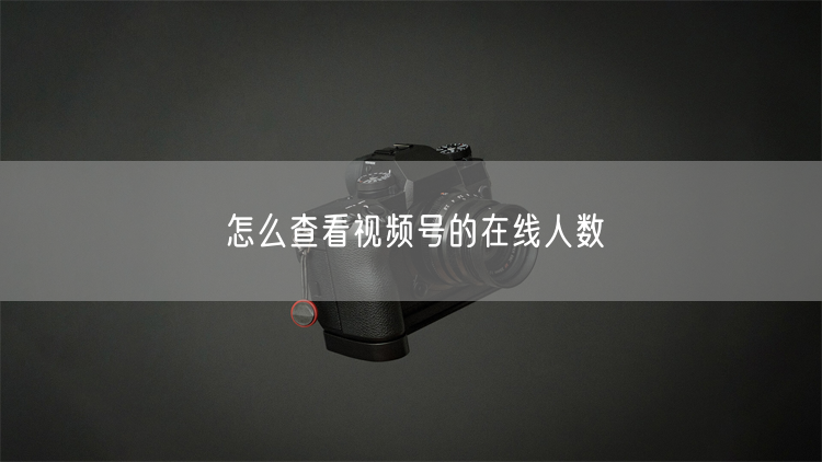 怎么查看视频号的在线人数