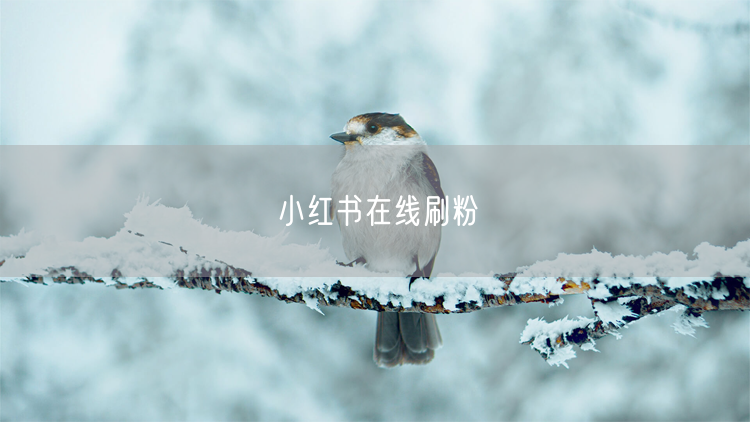 小红书在线刷粉