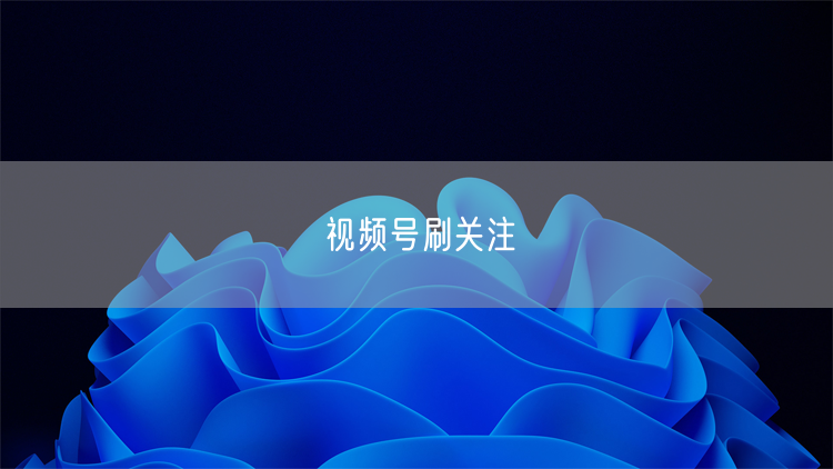 视频号刷关注