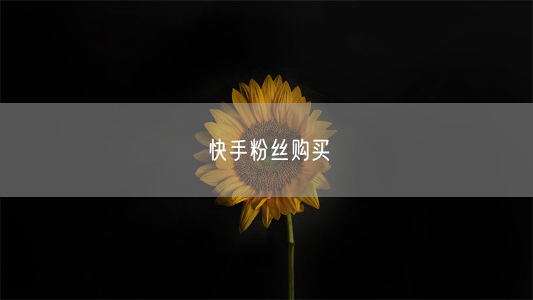 快手粉丝购买