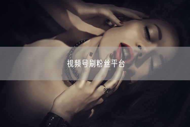 视频号刷粉丝平台