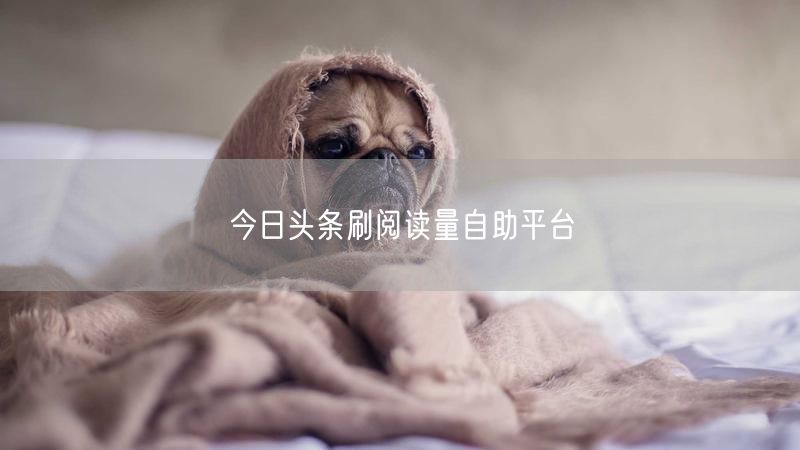 今日头条刷阅读量自助平台