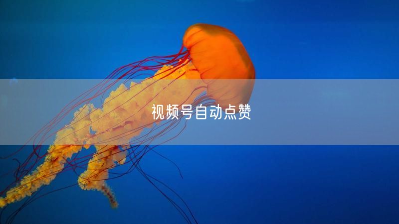 视频号自动点赞