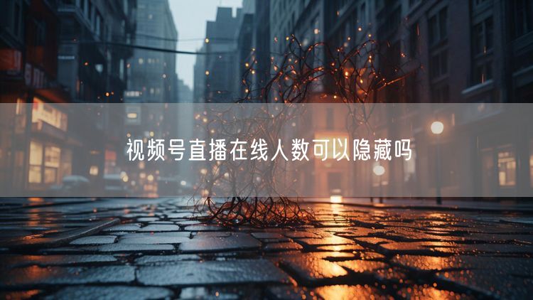 视频号直播在线人数可以隐藏吗