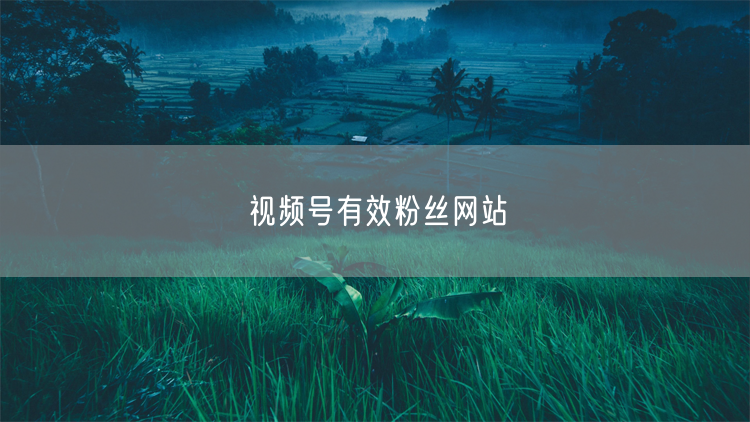 视频号有效粉丝网站