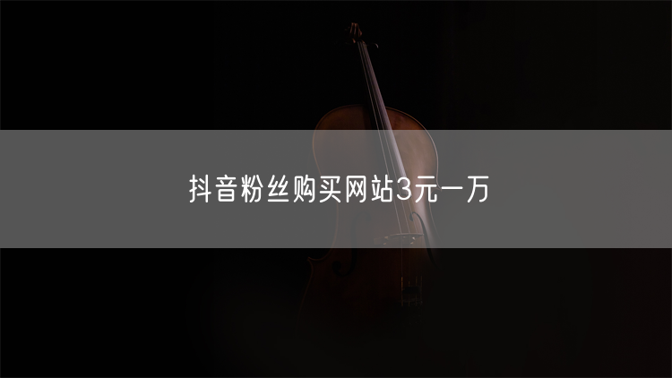 抖音粉丝购买网站3元一万