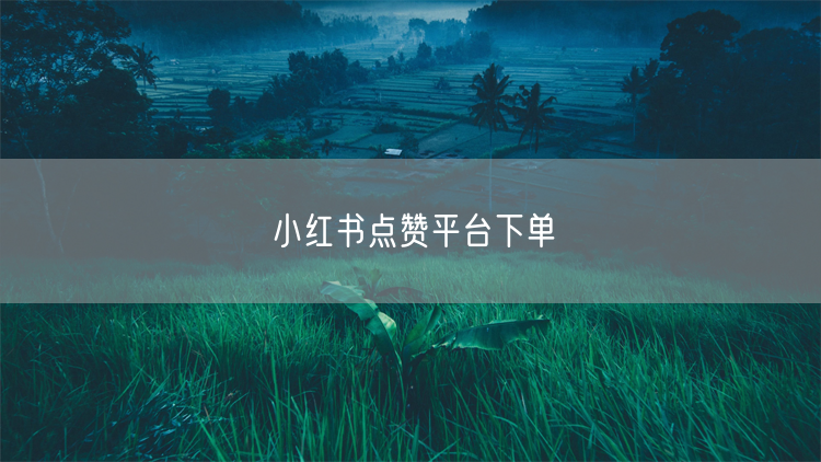 小红书点赞平台下单