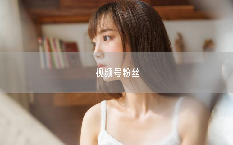 视频号粉丝