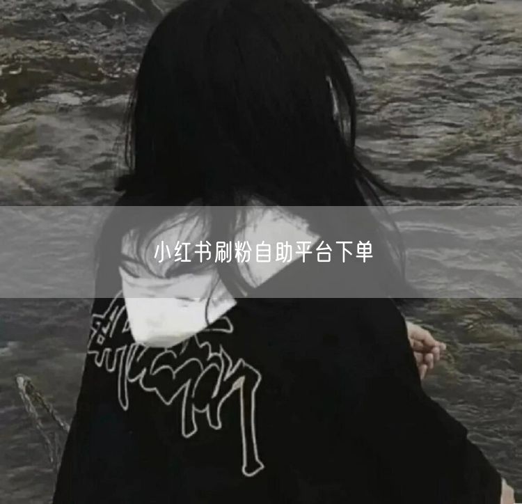 小红书刷粉自助平台下单