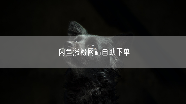 闲鱼涨粉网站自助下单
