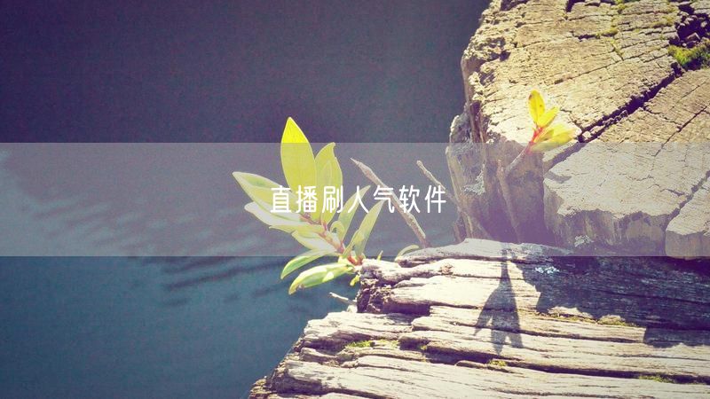 直播刷人气软件