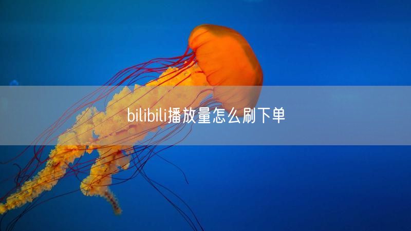 bilibili播放量怎么刷下单