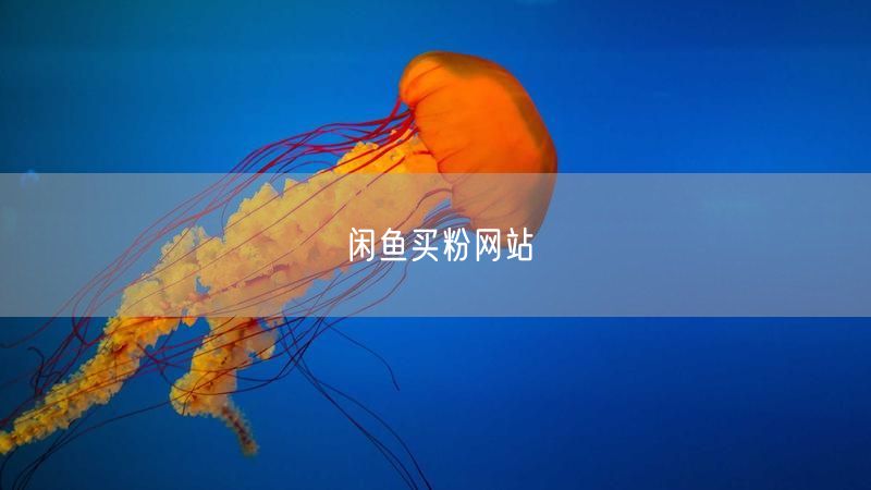 闲鱼买粉网站