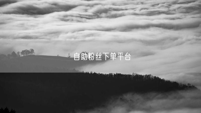 自助粉丝下单平台