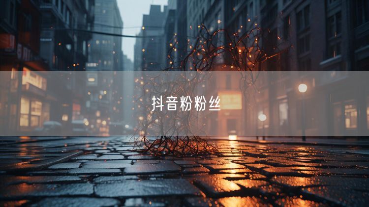抖音粉粉丝