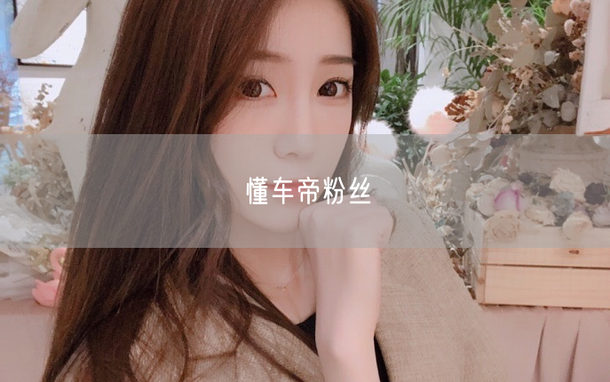 懂车帝粉丝