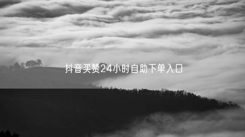 抖音买赞24小时自助下单入口