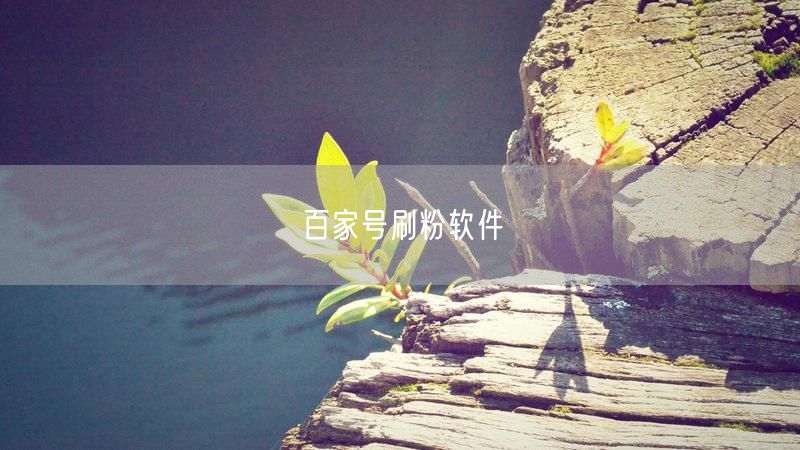 百家号刷粉软件