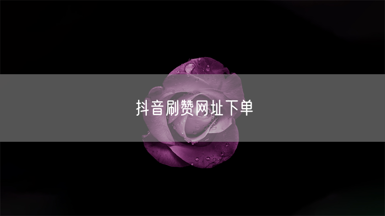 抖音刷赞网址下单