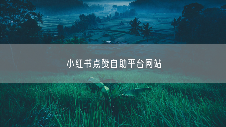 小红书点赞自助平台网站