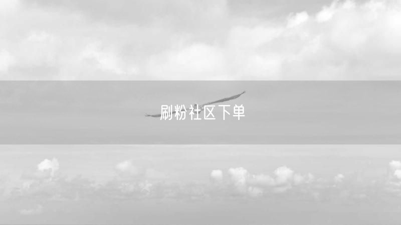 刷粉社区下单