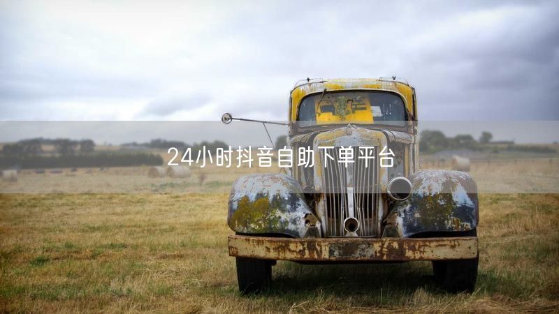 24小时抖音自助下单平台