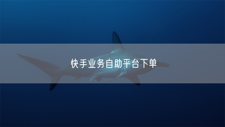 快手业务自助平台下单