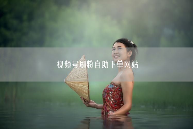 视频号刷粉自助下单网站