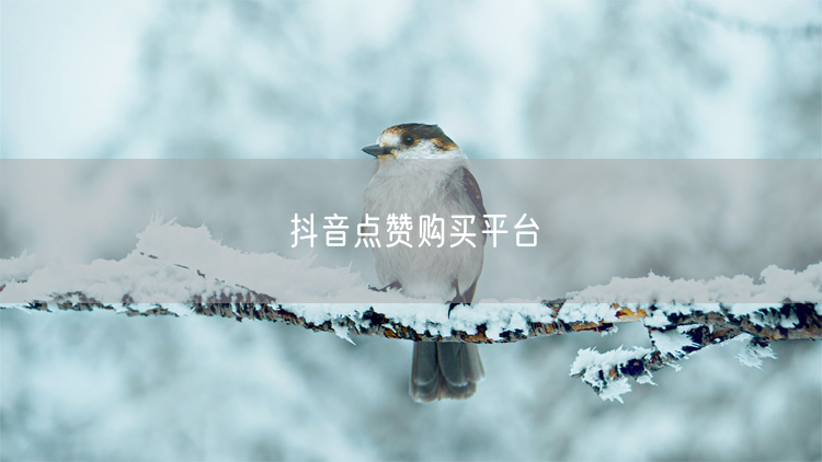 抖音点赞购买平台