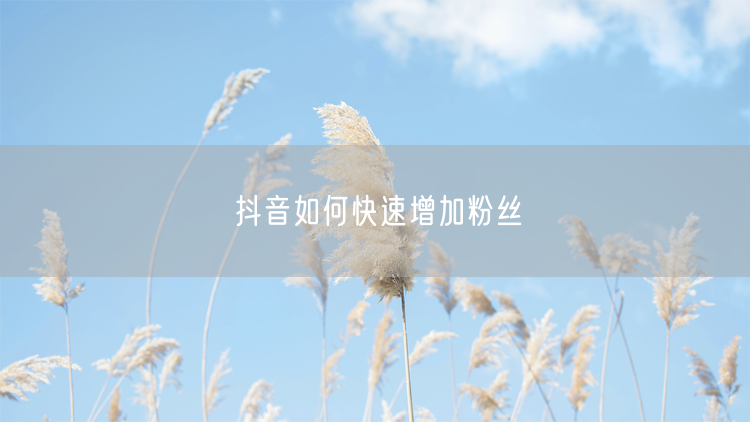 抖音如何快速增加粉丝