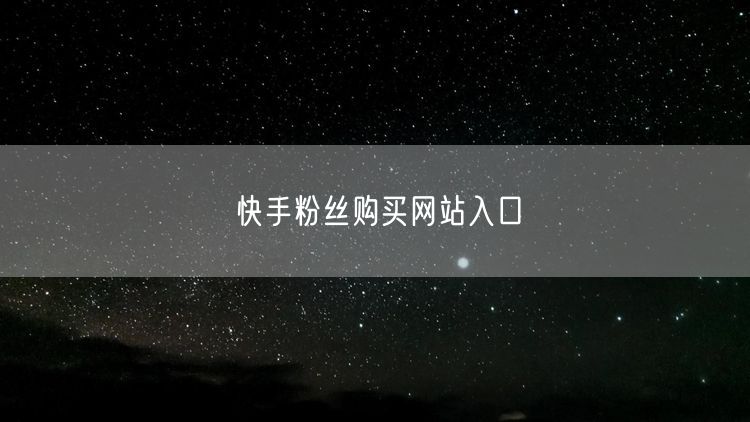 快手粉丝购买网站入口