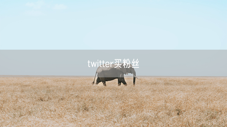 twitter买粉丝