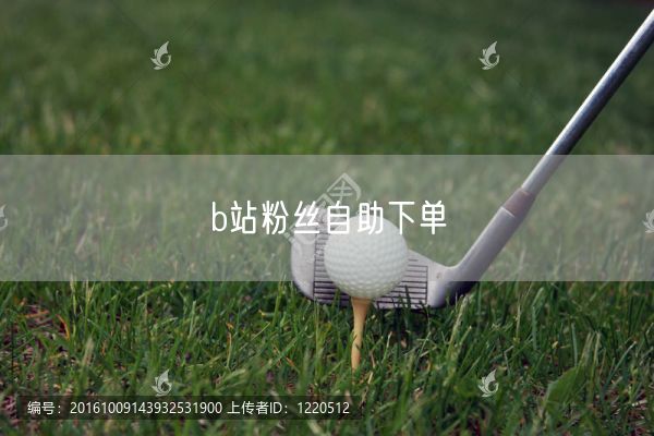 b站粉丝自助下单