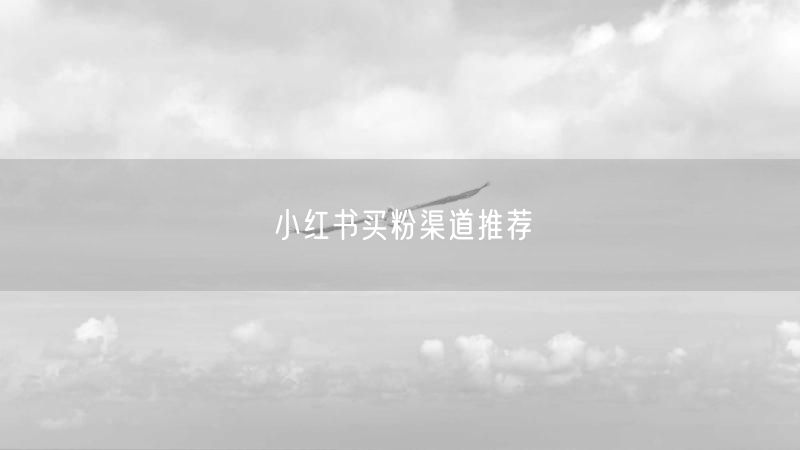 小红书买粉渠道推荐
