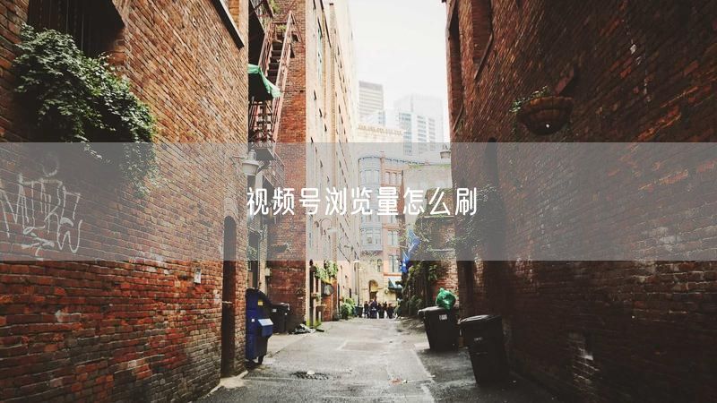 视频号浏览量怎么刷