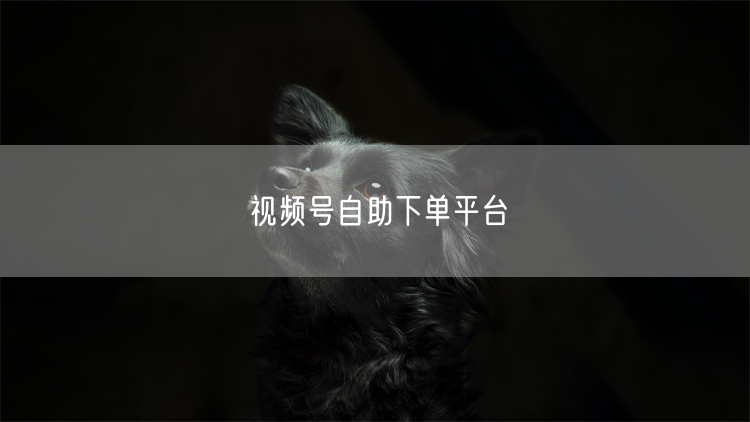 视频号自助下单平台