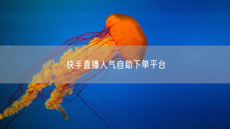 快手直播人气自助下单平台