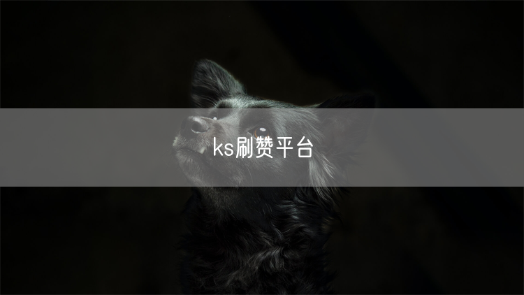 ks刷赞平台