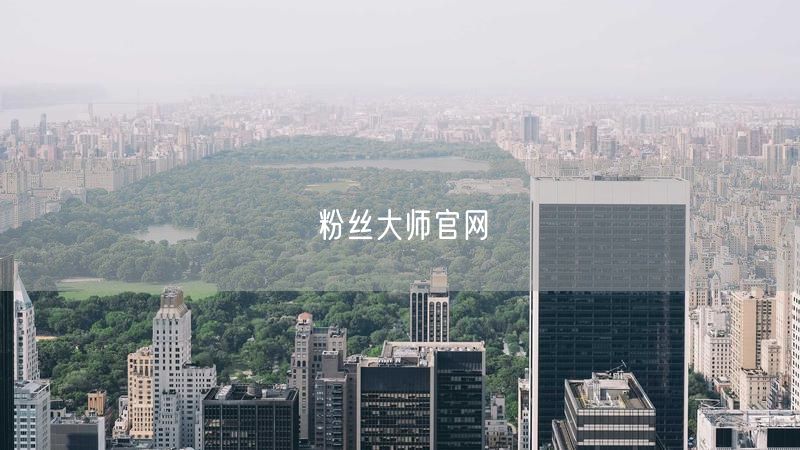 粉丝大师官网