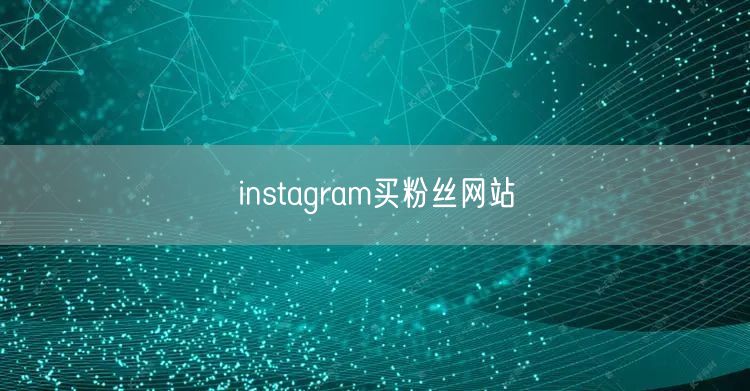 instagram买粉丝网站
