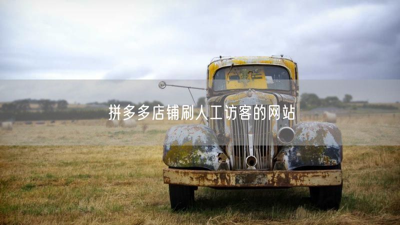 拼多多店铺刷人工访客的网站