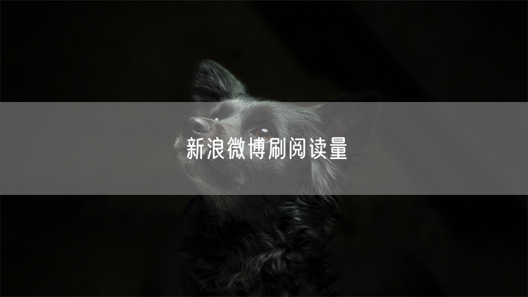 新浪微博刷阅读量
