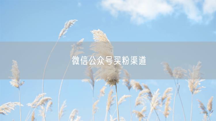 微信公众号买粉渠道