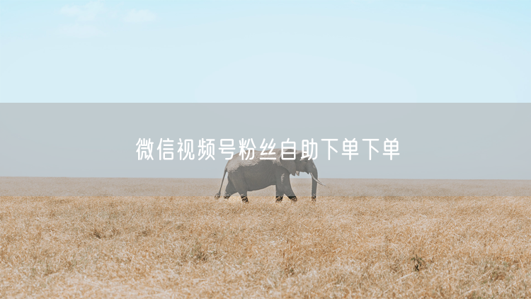 微信视频号粉丝自助下单下单